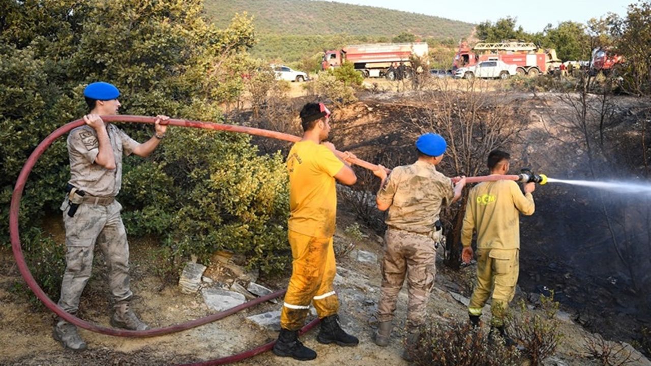 Uşak’ın Sivaslı ilçesinde çıkan yangın kontrol altına alındı