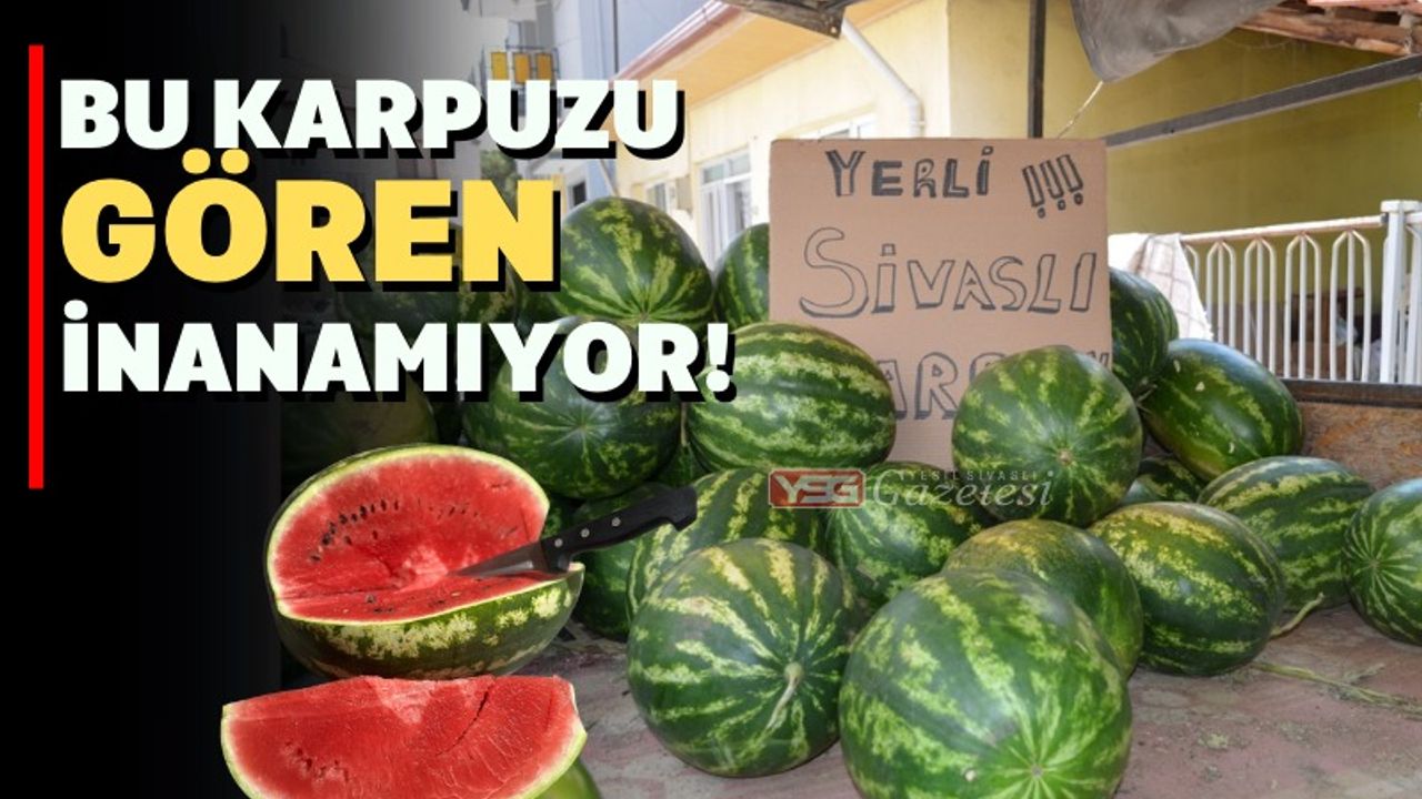 Görenleri şaşırtan karpuz Sivaslı'da yetişiyor