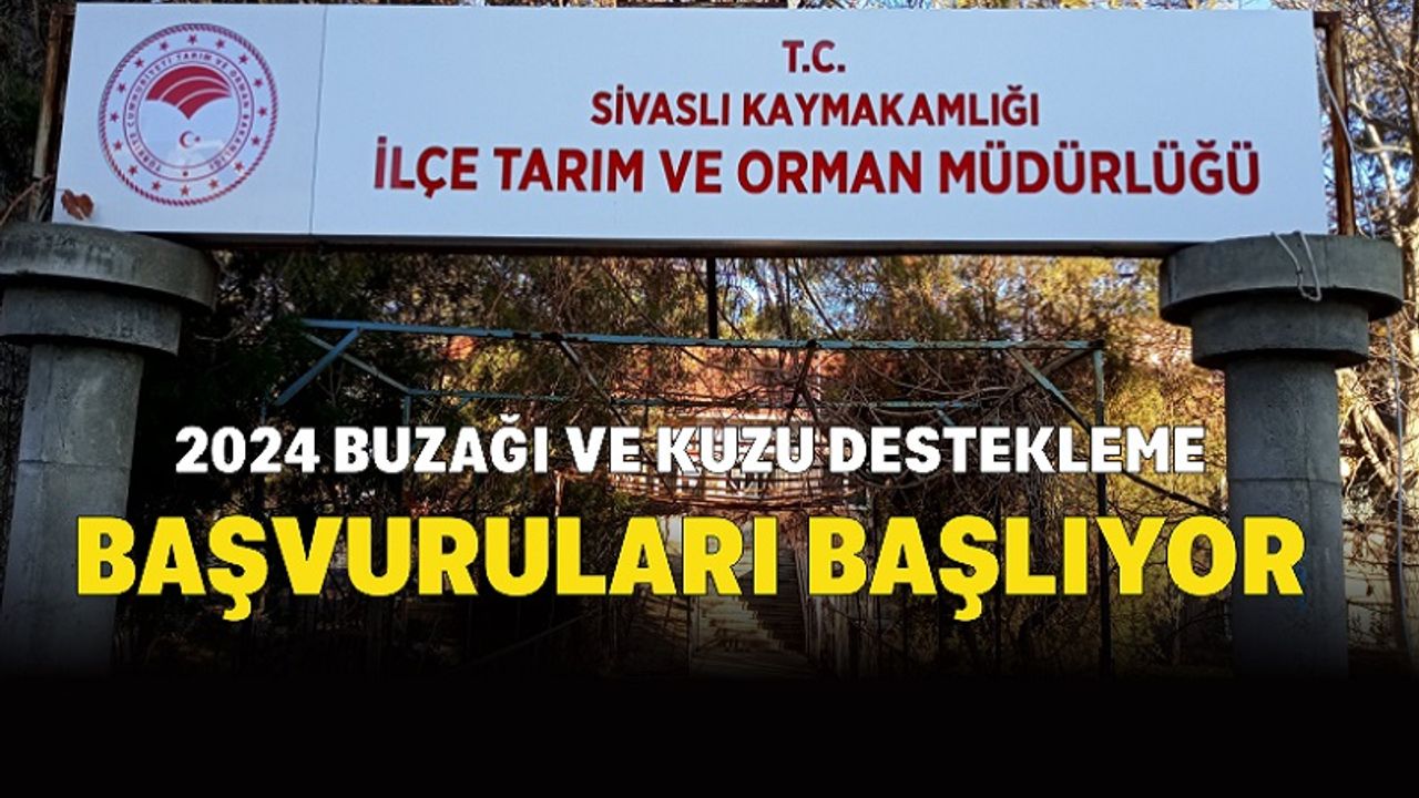 Sivaslı İlçemizde Buzağı ve Kuzu Destekleme Başvuruları Başlıyor