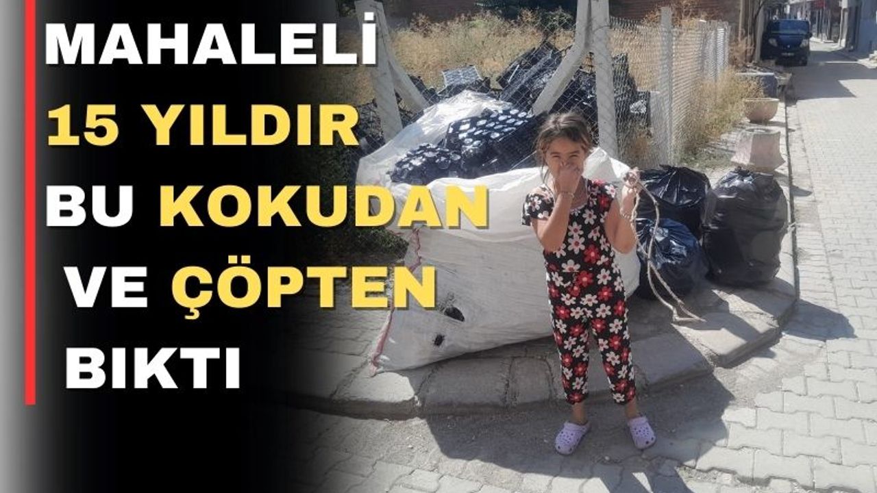 Uşak’ın bu mahallesi çöpten ve farelerden dertli