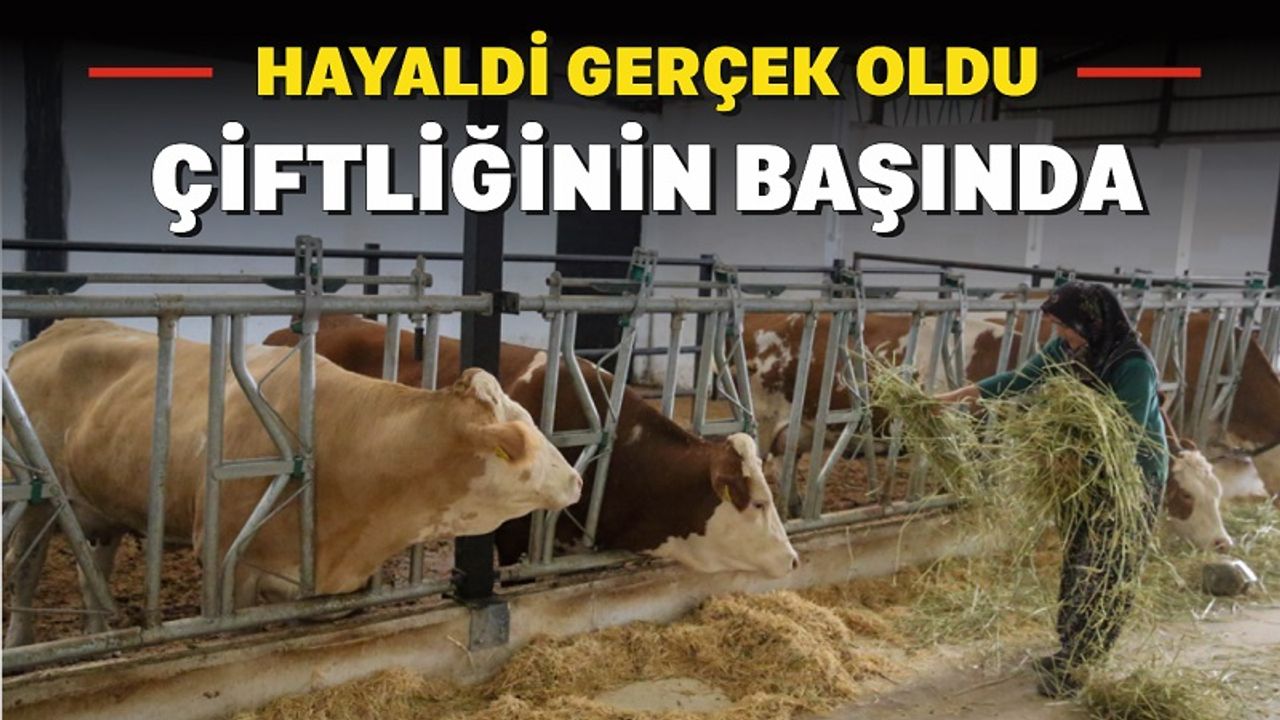 Ev Hanımlığından İş Hayatına Hayalleri Gerçek Oldu