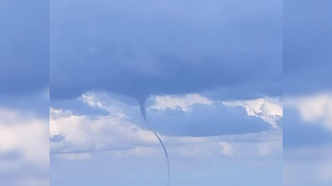 Hortum ağaçları kökünden söktü, bir işletmeyi yerle bir etti