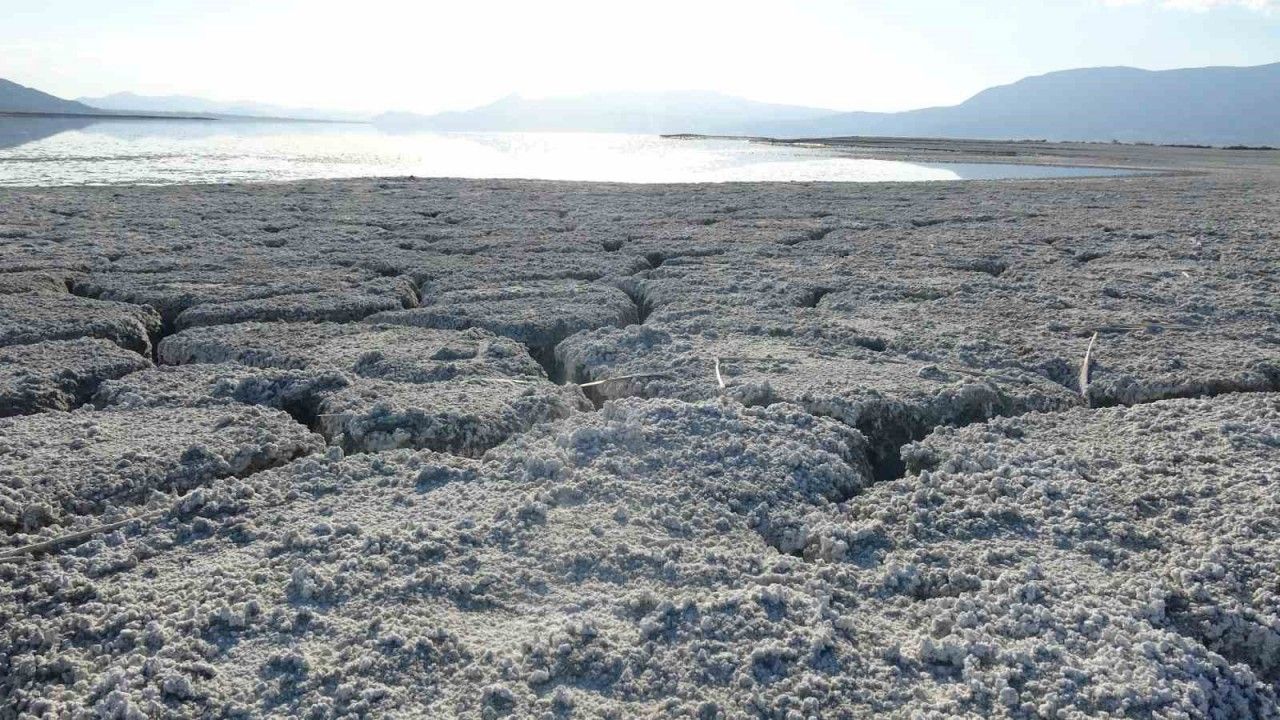 "Artık göllerimizi kaybetmek üzereyiz"