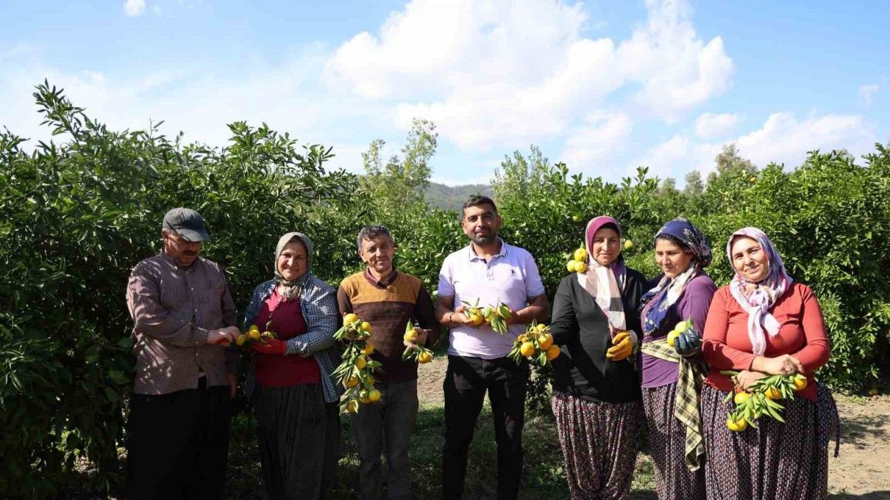 En ucuz meyve 8 TL’ye kadar düştü