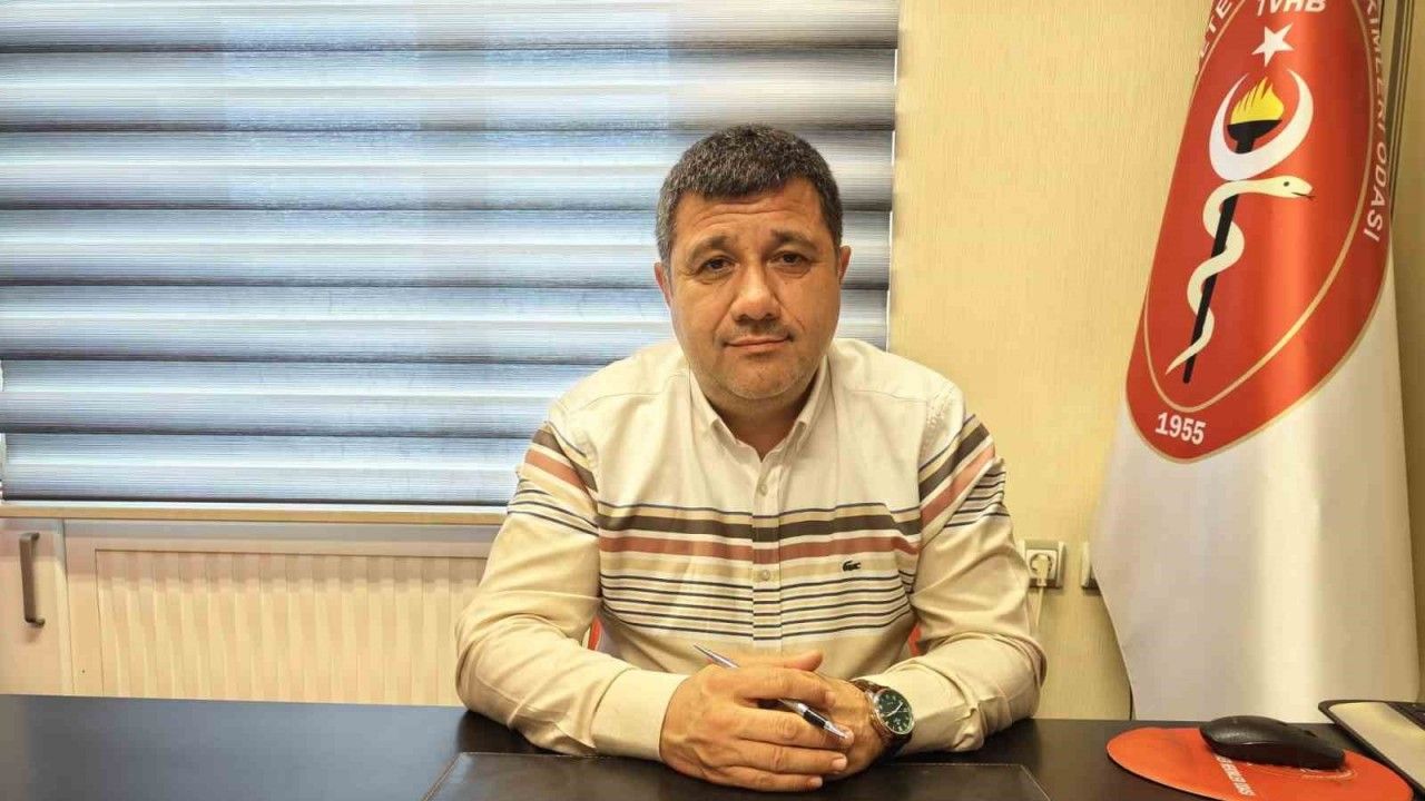 Evcil hayvanlara ‘internet’ tehlikesi