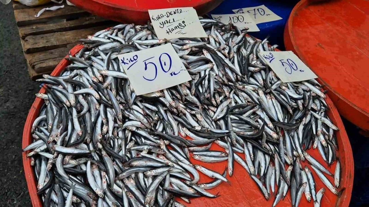 Hamsinin kilosu düştükçe düşüyor