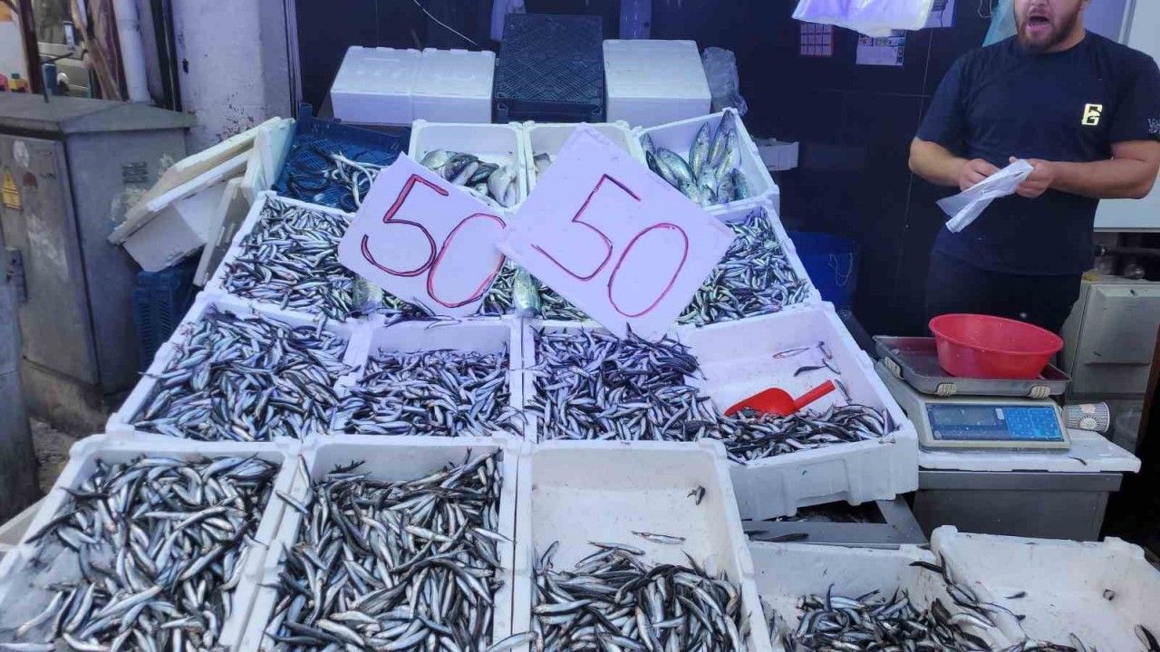 Karadeniz hamsisi tezgahları doldurdu