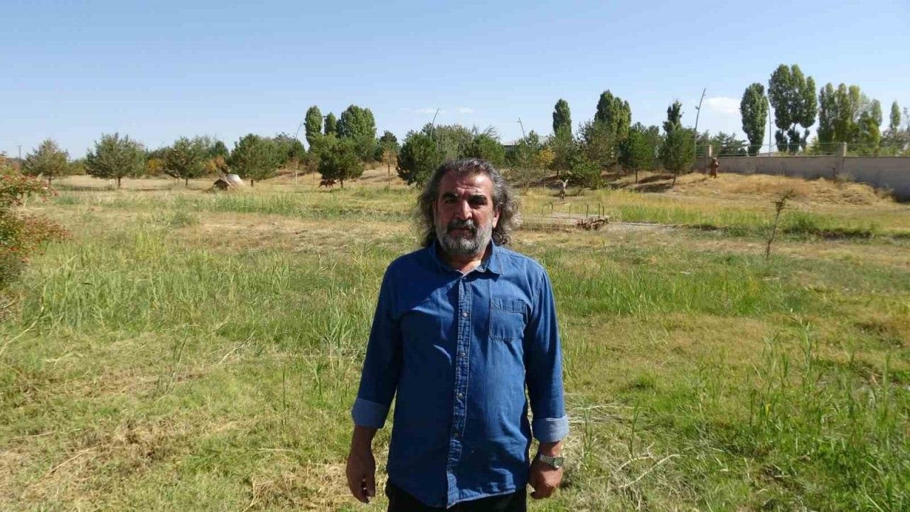 "Yaban hayatına müdahale ekolojik dengeyi bozuyor"