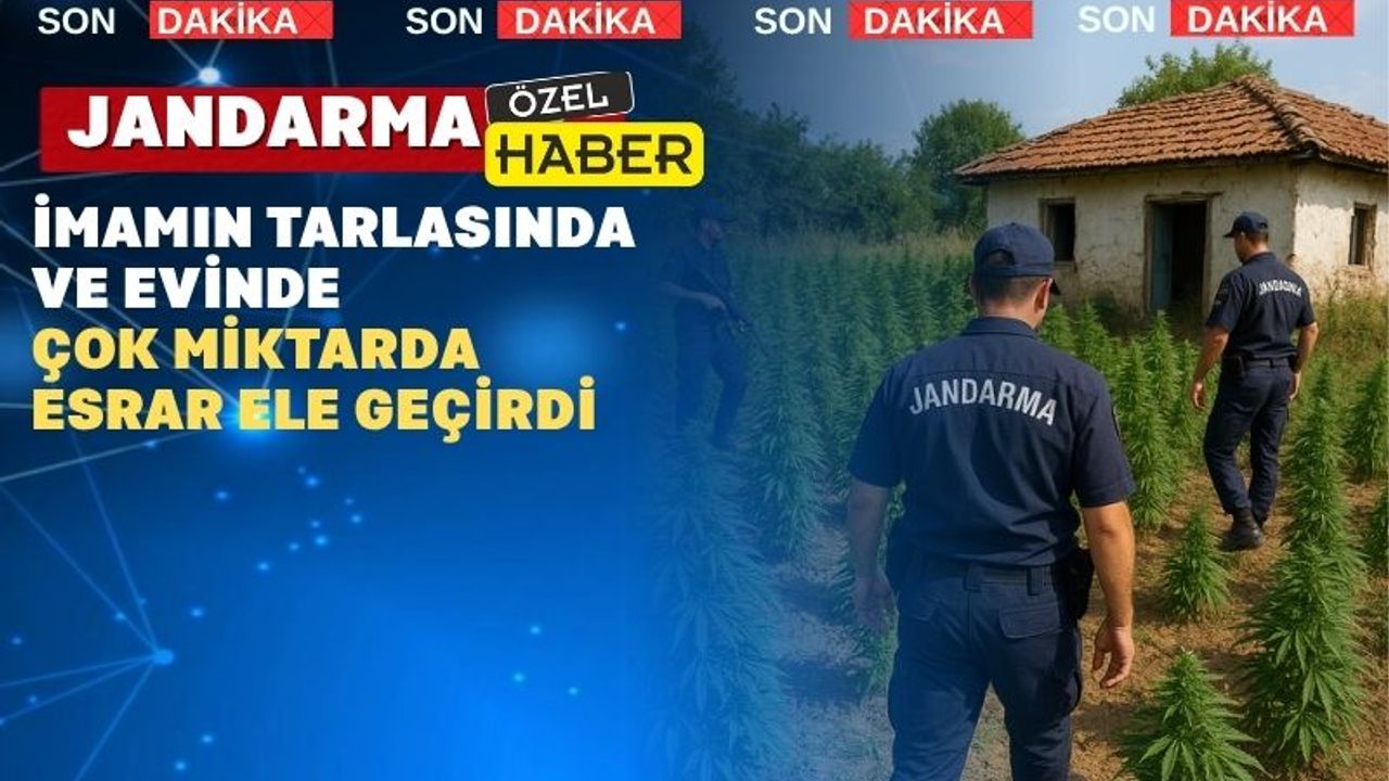 Uşak’ın Eşme İlçesinde bir imamın tarlasında esrar yakalandı