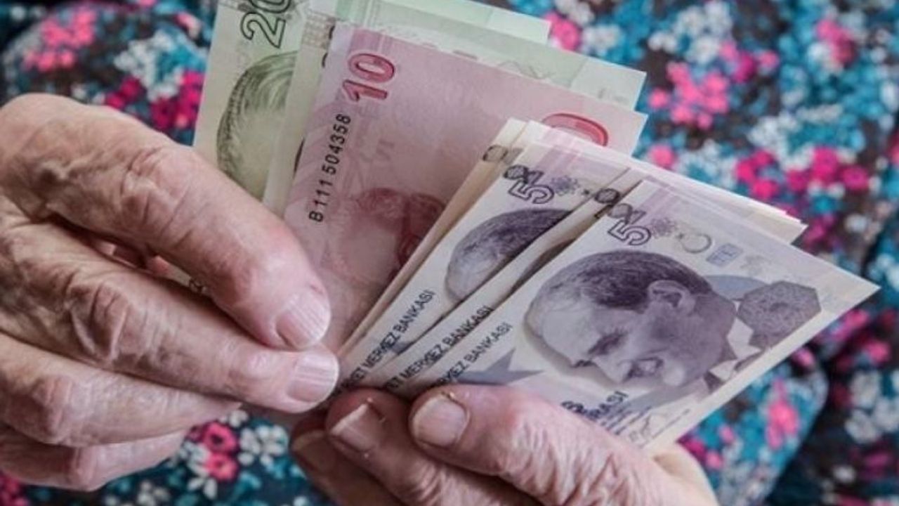 Dünyanın en pahalı baharatı 1 gramı 500 TL