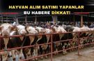 Uşak’ta hayvan pazarı açılış saatleri değişti