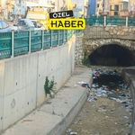 Uşak’ın İnci gerdanlığı Dokuz Sele Çayı Pislik İçerisinde