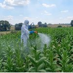 Uşak’ta 1.200 Tütün Üreticisine Koruyucu Ekipman