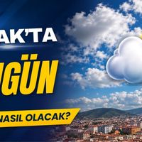 Genel