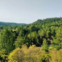 Gündem
