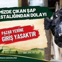 Genel
