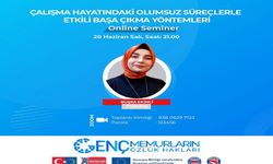 Genç Memurlar İçin Çalışma Hayatında Başa Çıkma Semineri Zoom'da!