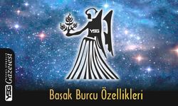 Başak Burcu Özellikleri