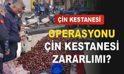 Çin kestanesi Operasyonu