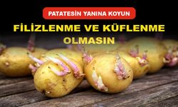 Patateslerin Çimlenme ve Çürüme Sorunlarına Doğal Çözüm: Elma Tüyosu!