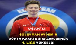 Uşaklı Süleyman Aydemir Dünya Karate Sıralamasında Zirveye Yükseldi