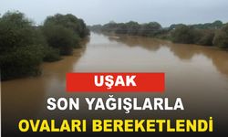 Uşak'ta Son yağışlar  ovaları bereketlendirdi