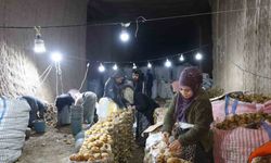 Türkiye’nin patates ihtiyacı  bakın nereden  karşılanıyor