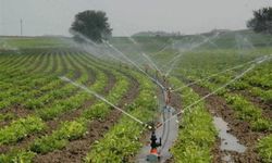 Uşaklı Çiftçiler Bu Haber Size! Sulama Makine ve Ekipmanlarına % 50 Hibe Desteği Başladı