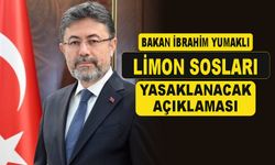 Limon Soslarının Satışı Yasaklanacak...!