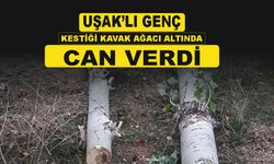 Uşaklı genç kestiği kavak ağacının altında can verdi