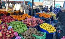 Çöp diye atılan meyve kabukları bağışıklık dostu