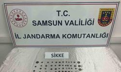 Samsun’da 186 adet sikke ele geçirdi