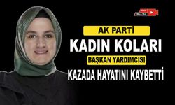 AK Parti Kadın Kolları İl Başkan Yardımcısı Fatma Sevim Baltacı trafik kazasında hayatını kaybetti