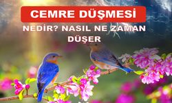 Cemre Nedir ve Nasıl Düşer? Baharın Müjdecisi Olan Cemre Düşmesi Ne Anlama Geliyor?