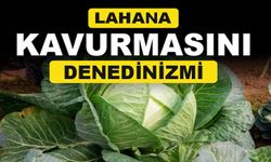 Lahana Kavurması : Sağlıklı ve Lezzet Dolu Bir Tarif