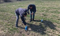 Uşak'ın köylerinde tarla faresiyle mücadele