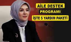 Aile Destek Programı  İhtiyaç Sahibi Ailelere Sunulan Çeşitli Yardımlar