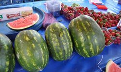 Karpuz pazar tezgahlarında  yerini almaya başladı