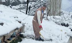 Şırnak’ta yalancı bahar, bal arılarını vurdu