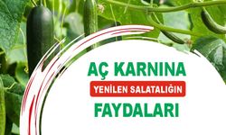 Aç Karnına Salatalık Yiyenlerin Şaşkınlıkla Karşılayacağı Faydaları!