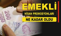 Emekli Promosyon 2024 Nisan Rakamları Açıklandı: En Yüksek 18.000 TL!