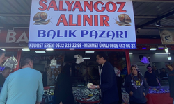 Uşak’ta yeni gelir kapısı: Salyangoz avcılığı