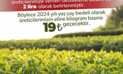 2024 yılı için kilogram başı yaş çay alım fiyatı belli oldu