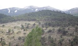 Uşak İMO Başkanı Ümit Alp’ten çarpıcı Murat Dağı açıklaması