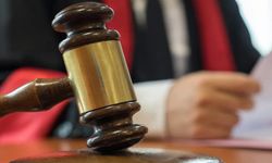 Yeni nesil nafaka: Kedinin velayetini eşine bıraktı