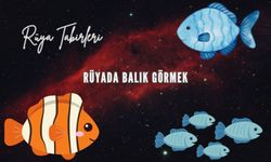 Rüyada Balık Görmek Ne Anlama Gelir?