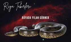 Rüyada Yılan Görmek Ne Anlama Gelir?