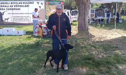 Afyonkarahisar'da Av Köpekleri Mera Yarışması düzenlendi