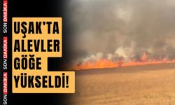 Uşak- İzmir Karayolunda büyük bir yangın çıktı