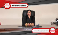 Prof. Dr. Mehtap Uysal kimdir?